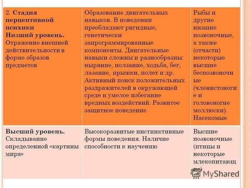 стадия перцептивной психики наивысший уровень. уровни развития психики. стадия перцептивной психики низший уровень. пример перцептивной психики. перцептивная стадия развития психики примеры.