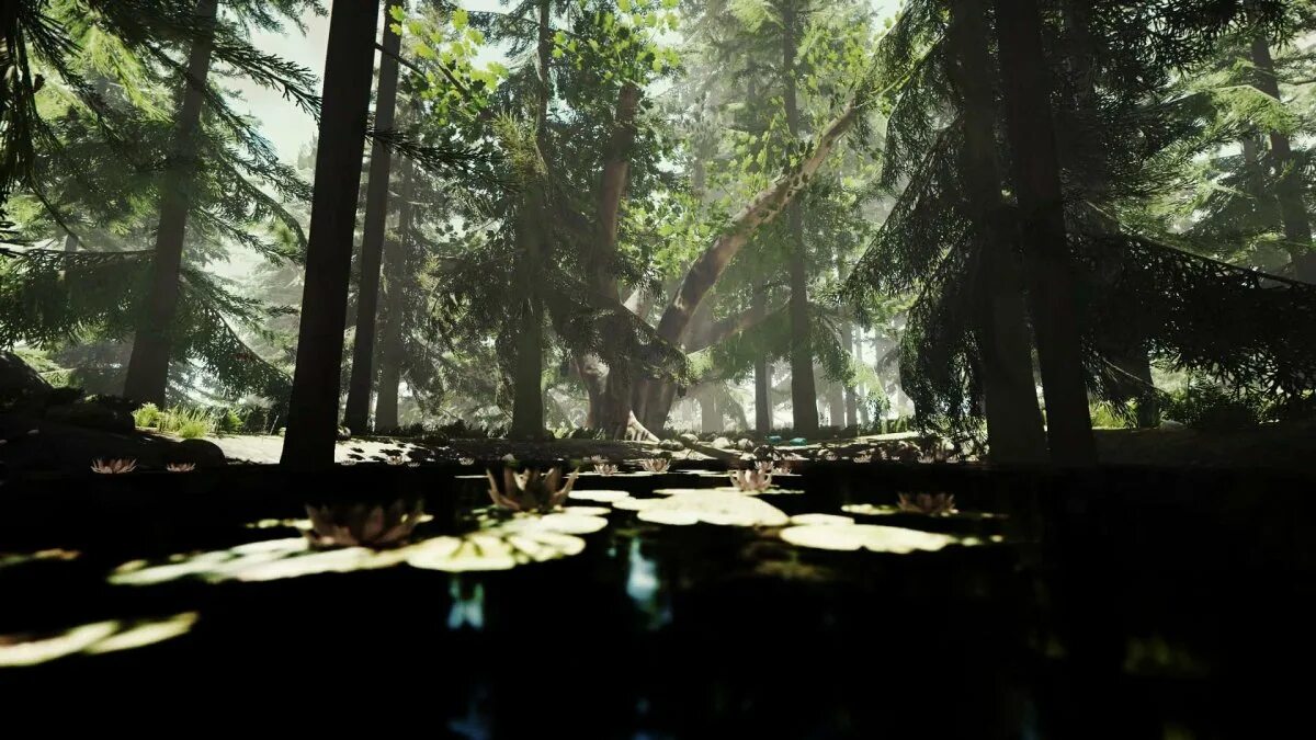 Delphine in the forest. The forest. лес зе форест. тхе форест 2. лес в играх.