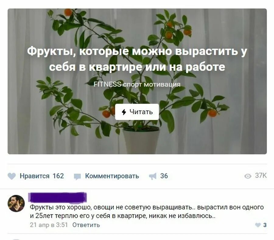 Выростим или вырастем. Вырастить себя. Вырастишь или вырастешь. Растит или выращивает. Выростили или вырастили.