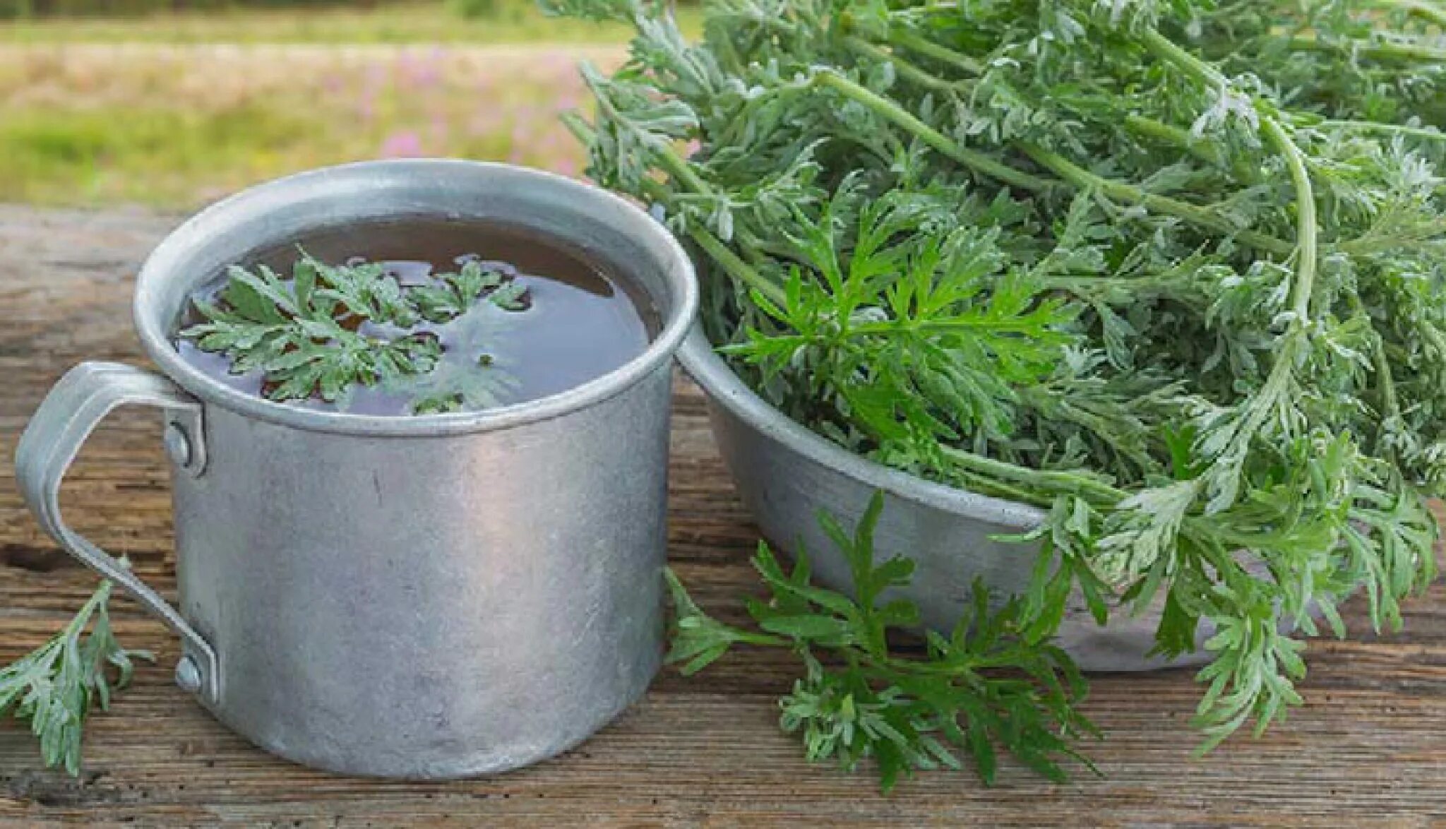 Переложенные мешочками с горькой полынью лежали