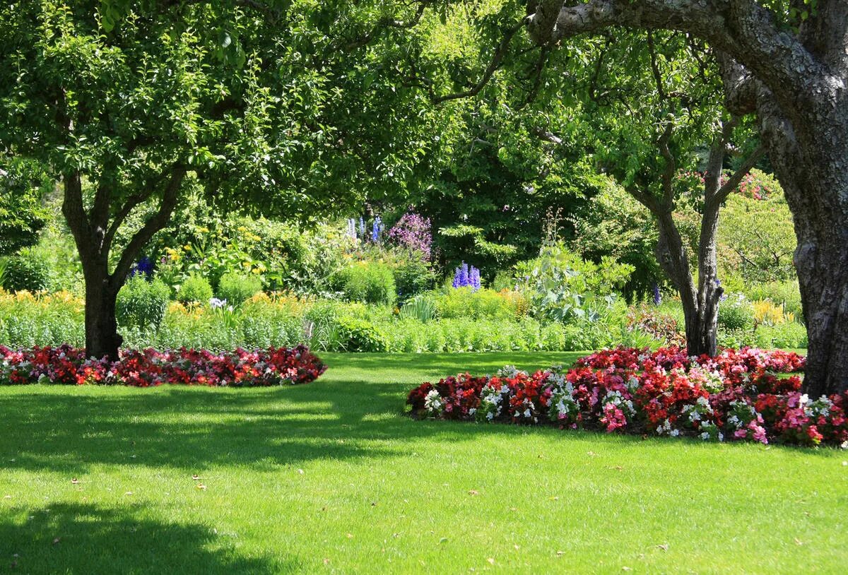 Сад лучшие деревья. Хелен парк+ ландшафт. Парк Буш Гарденс баннер. Клумбы в плодовом саду. Цветник в саду.