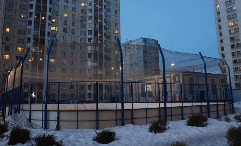 Район Бирюлево Западное улица Харьковская. Бирюлево Западное Востряковский проезд. Спортплощадки Бирюлево Западное. Бирюлево Западное 1/1.