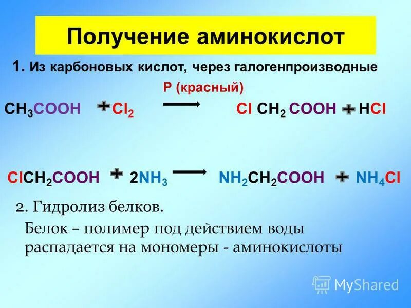 Какие неорганические соединения проявляют амфотерные свойства