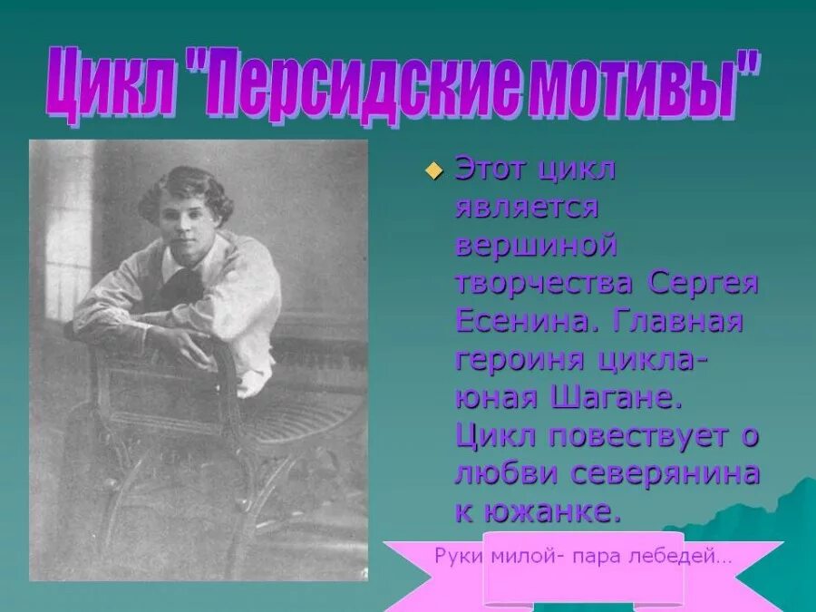 руки милой пара лебедей. пара лебедей. руки милой пара лебедей. пара лебедей. стих есенина руки милой пара лебедей.