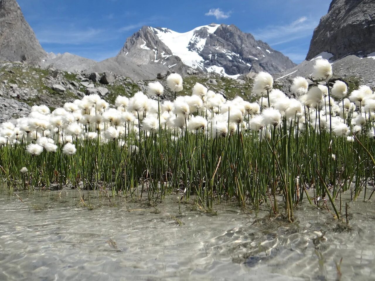 Nature can