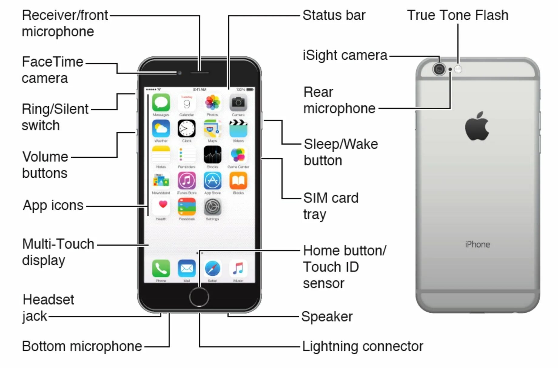 Где 7 iphone. Схема айфон 6. Микрофон айфон 6s. Где динамик у айфона 6 s находится. Iphone XR микрофон расположение.