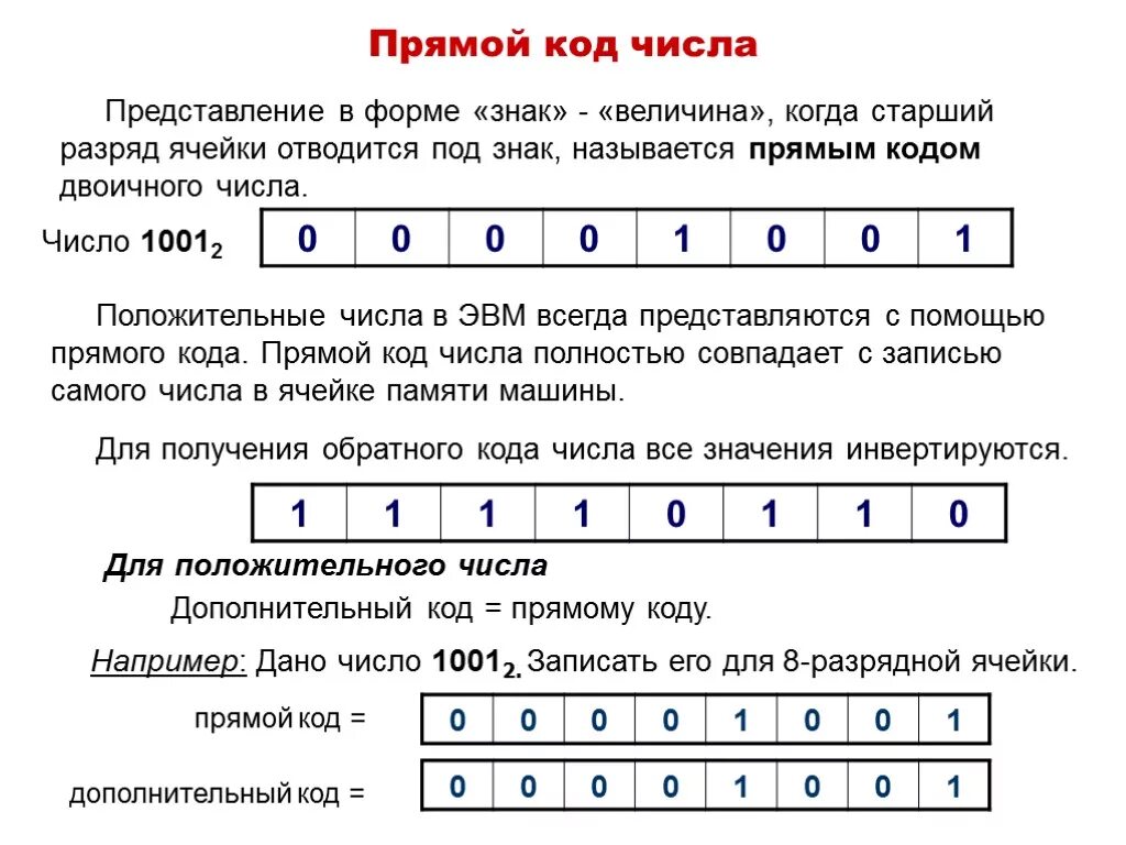 Число кода игра. Прямой код числа 5. Коды представления чисел прямой и обратный. Прямой код двоичного числа. Прямой код целого числа.