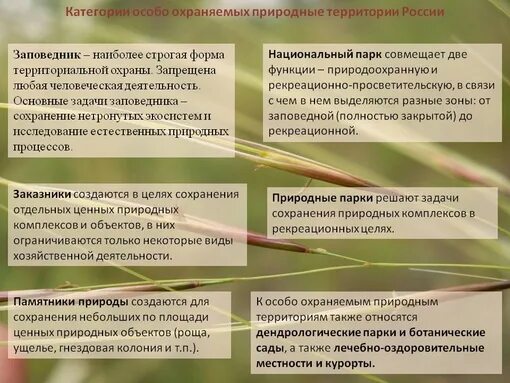 Виды ООПТ. Особо охраняемые природные территории виды. Виды особо охраняемыхтерритории. Особоохроняемые природные территории.