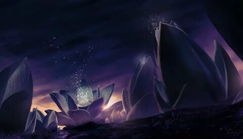 Black lotus