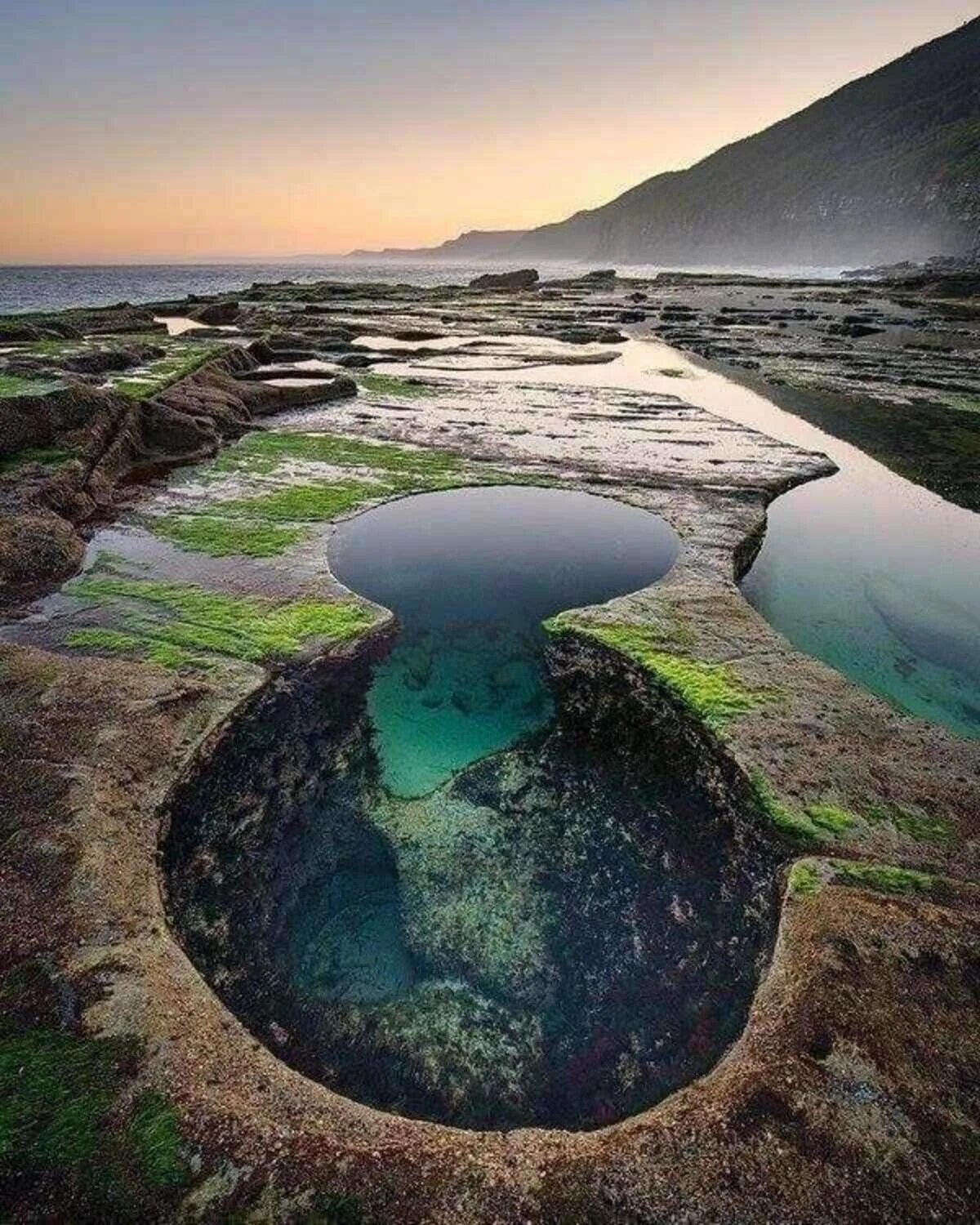 Королевский национальный парк (Royal National Park). Национальный парк Австралии. Парк Ройал Австралия. Озеро Какура Австралия. Самые большие водоемы на планете это