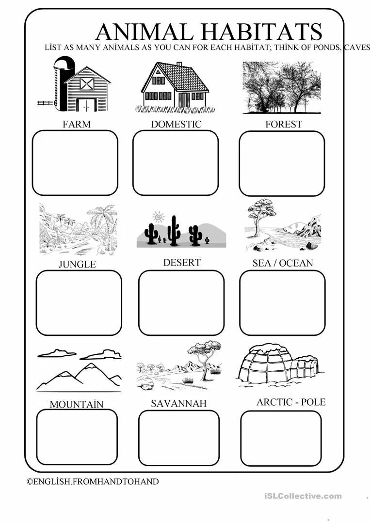 Animal Habitats Worksheets. Habitats на английском. Animals Habitats Worksheets for Kids Worksheets. Animal Habitat for Kids.