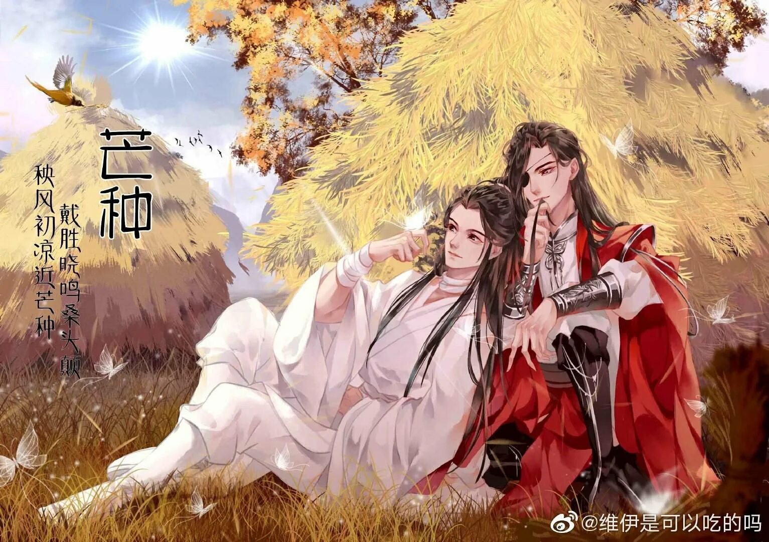 Благословение небожителей анимего. Tian guan ci fu. tian guan ci fu аниме. китайское аниме благословение небожителей. благословение небожителей / tian guan ci fu.