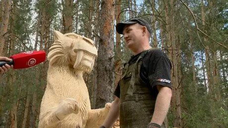 Барковка древландия. Древландия пенза барковка. Древландия пенза. Древландия пенза где находится. Древландия пенза где находится.