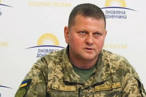 Залужный снят с должности главнокомандующего