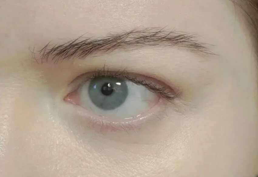 Tightlining tutorial Best eyeliner, Best winged eyeliner, Eyeliner