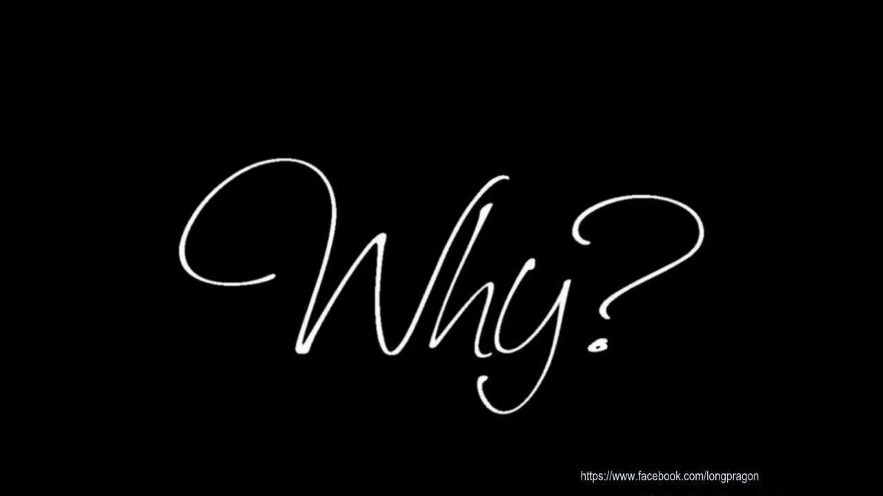 Why not i gone. Why not. why not me перевод. логотип why not. why not slow.