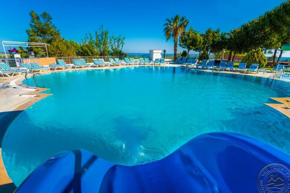 Elite hotel турция. Элизиум элит отель турция. elysium elite hotel spa 4. элизиум отель турция сиде. элизиум отель турция сиде 4.