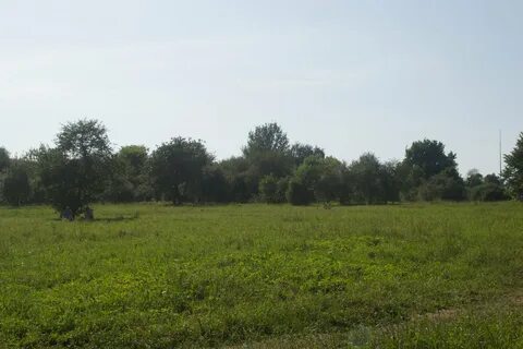 Участок выставлен