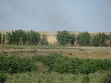 Пугачевский р н саратовской обл