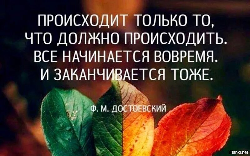 Что то подобное произойдет то