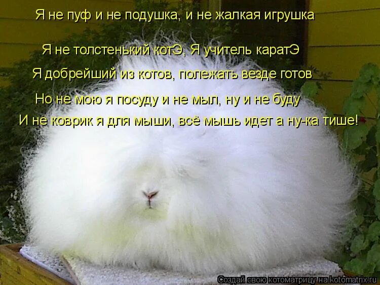 Мягкий белый и пушистый. Цитаты про белую ворону. Высказывания о вороне. Высказывания про белую ворону. Белых быть не может то.