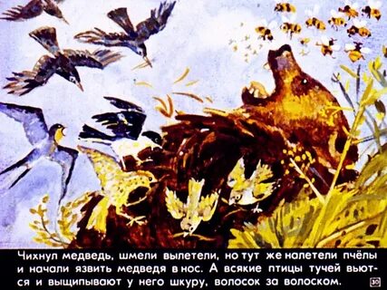 Сказку к г паустовского дремучий медведь
