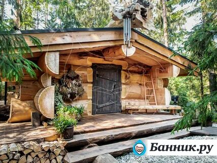 Елки и волки баня