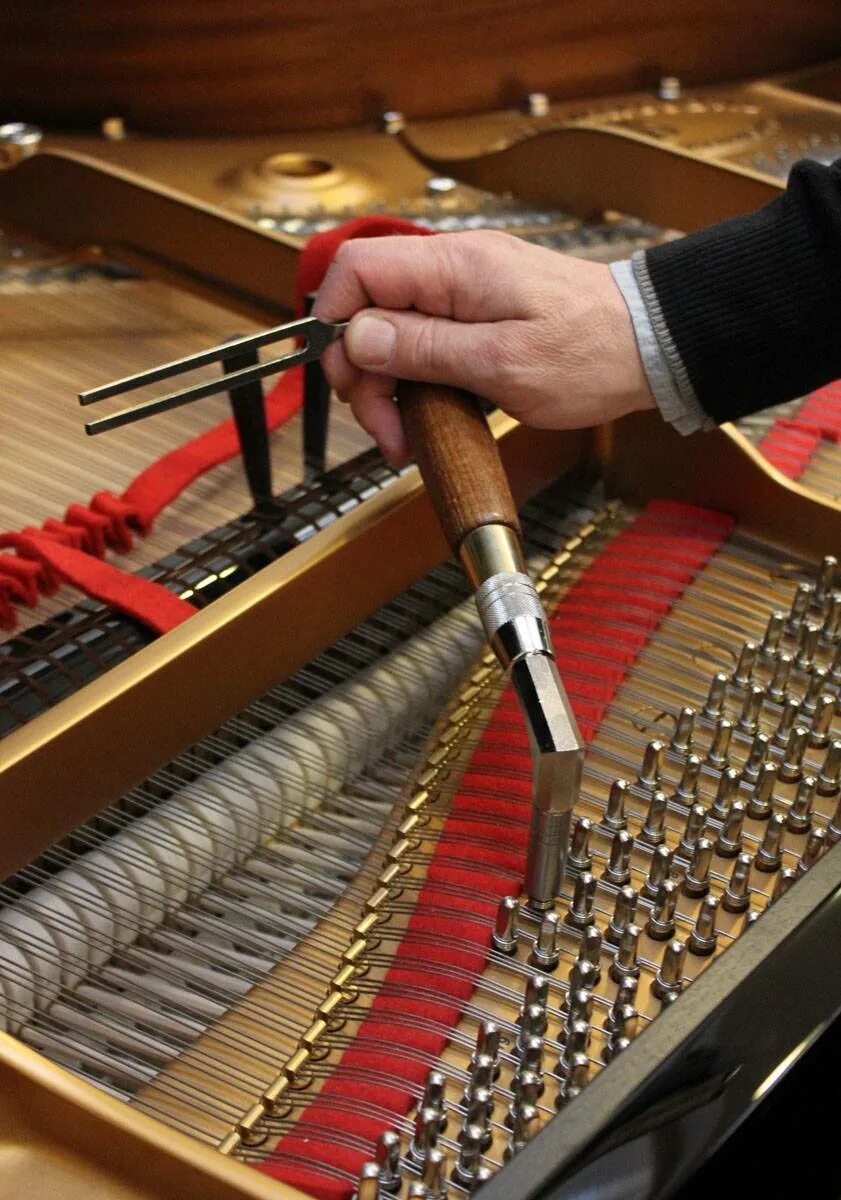 Настройщик владимир спесивцев. Ильичев сергей настройщик фортепиано. Настроить пианино. Настройщик фортепиано в твери. Настройщик пианино.