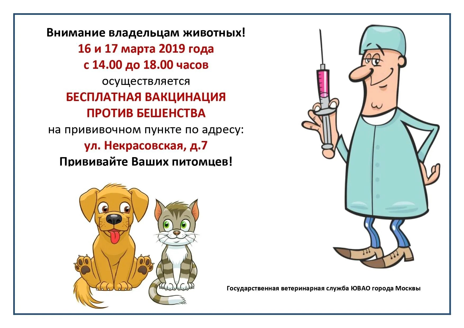 Вакцинация против бешенства животных. Вакцинация рисунки. Объявление о вакцинации против бешенства.