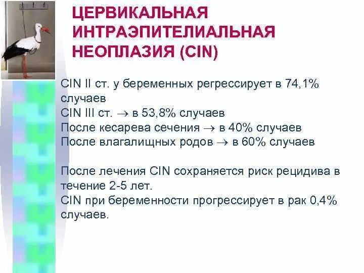 Неоплазия лечение. Цервикальная интраэпителиальная неоплазия (Cin). Зеркальная интраэпителиальная неоплазия. Цервикальная интраэпителиальная неоплазия классификация. Слабая цервикальная интраэпителиальная неоплазия Cin l.