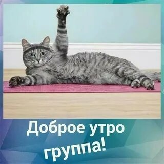 200 прикольных картинок.