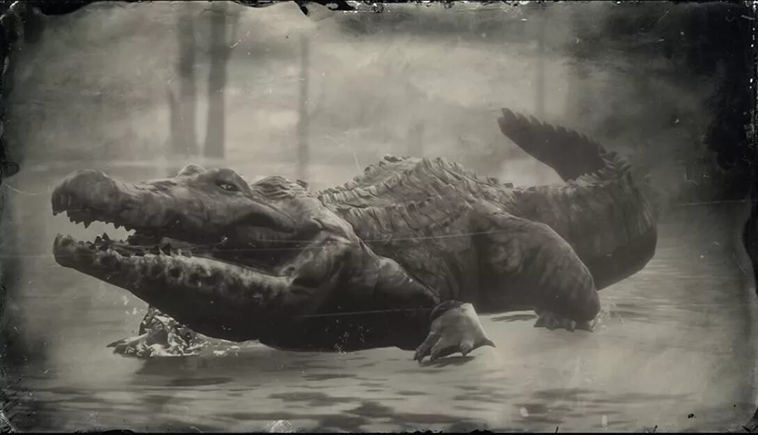 Легендарный аллигатор rdr. Легендарный крокодил в РДР 2. Легендарный Аллигатор rdr 2. Американский Аллигатор РДР 2.