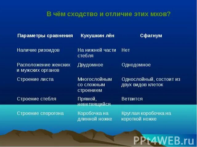 Водоросли сходство и различия. В чем сходство и различие мхов и. Мхи и водоросли сходства и различия. Таблица сходства и различия мхов и водорослей. Сходство мхов и водорослей.