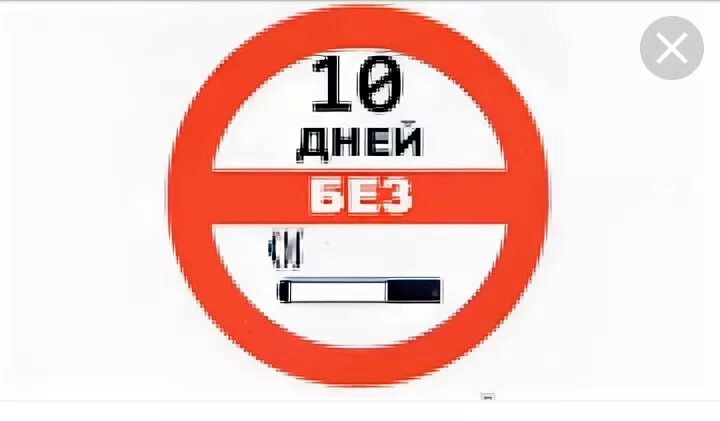 10 дней без