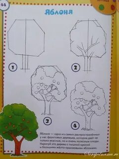 Яблоня пошагово