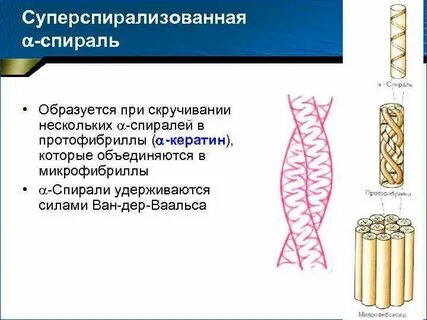 Быть представлена альфа спиралью стабилизироваться