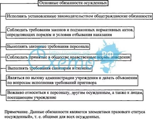 Свободы и законные интересы работника. Правовой статус осужденного в РФ. Правовой статус осужденного схема. Правовое положение лиц отбывающих наказание.