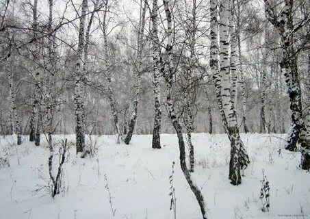 Рп5 усть каменогорск