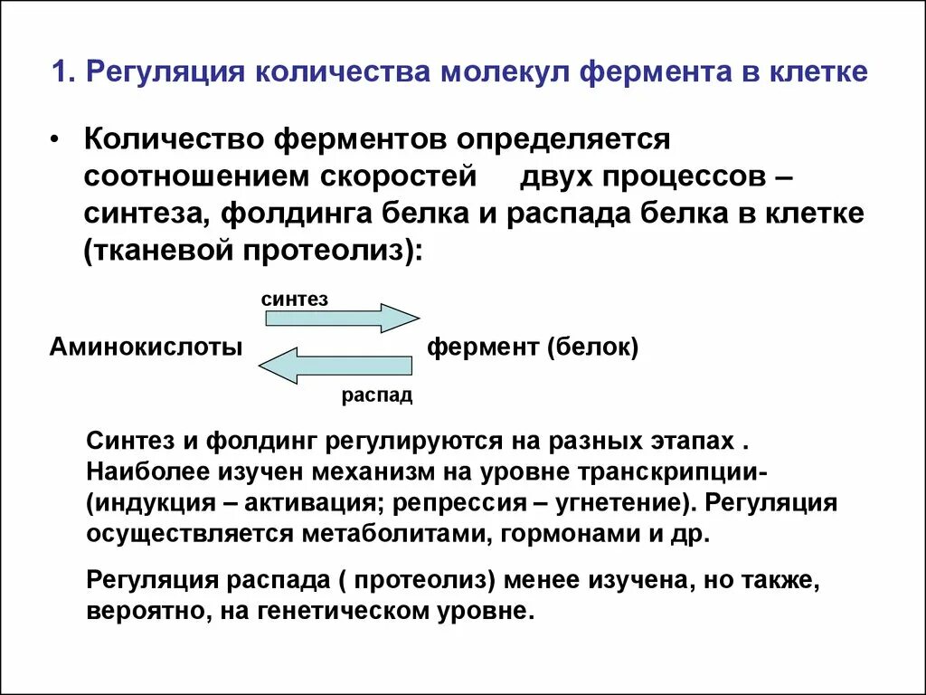 Активность ферментов регулируется. Регуляция количества ферментов. регуляция ферментативной активности биохимия.