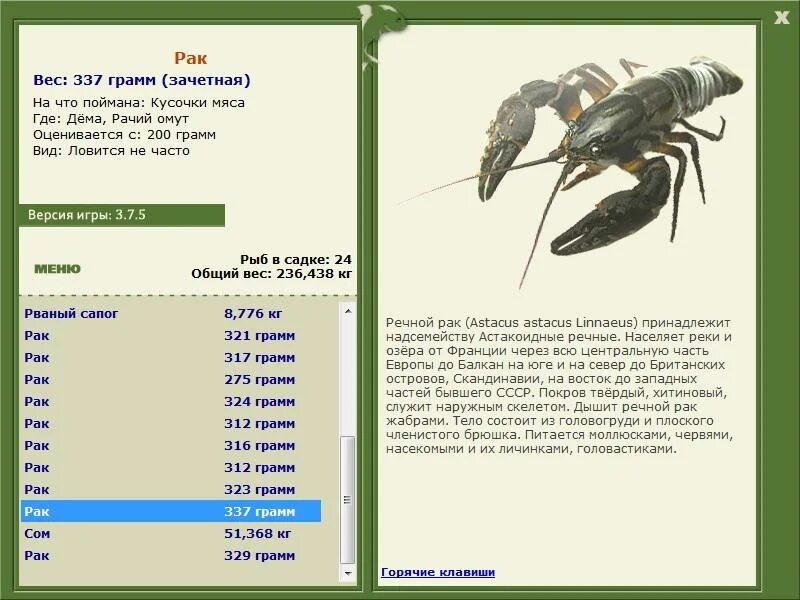 русская рыбалка западный затон. вес чехони. русская рыбалка 3 bear edition. семейство карповых рыб список. рыба берш и судак.