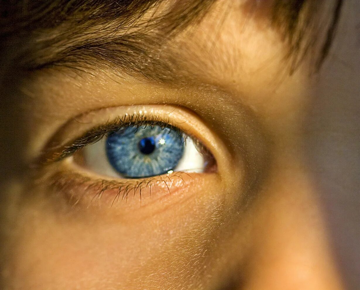 Желтый свет в глазах. Синие глаза. Детские глаза. Голубые гоазара солнце. Натуральный синий цвет глаз.