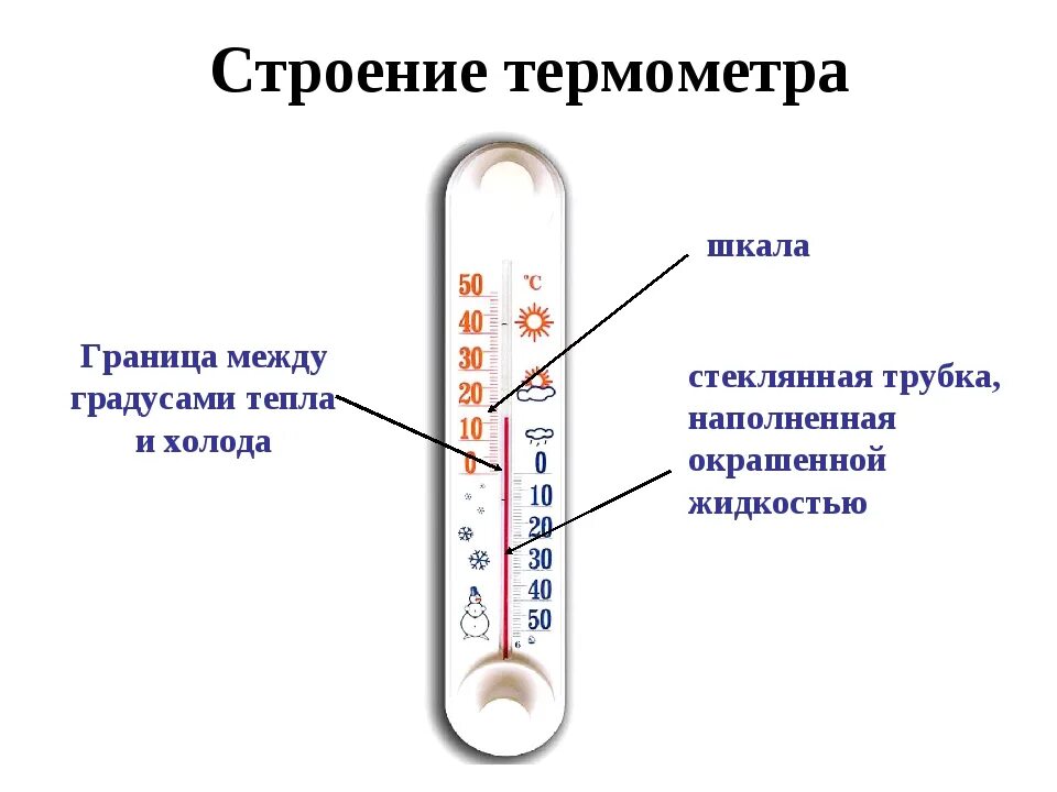 Градусник про. Строение термометра для измерения температуры. Строение градусника ртутного для измерения температуры тела. Из чего состоит термометр 2. Строение ртутного термометра.