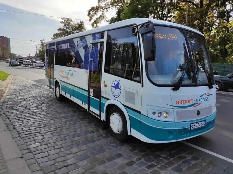 Тур автобусом в калининград. Автобус 244 калининград храброво. 244э аэропорт калининград. 244э автобус из храброво.