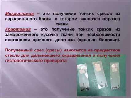 Подготовка предметных стекол