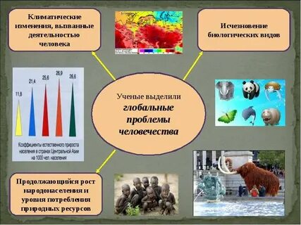 Современные биологические проблемы