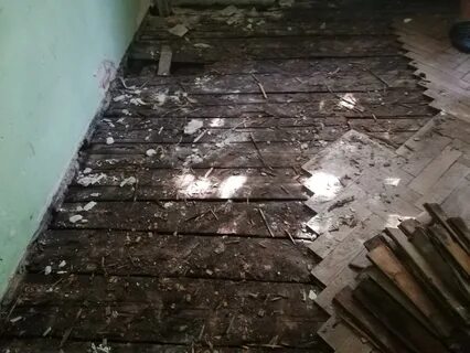 Между девятин пропадаем из дома