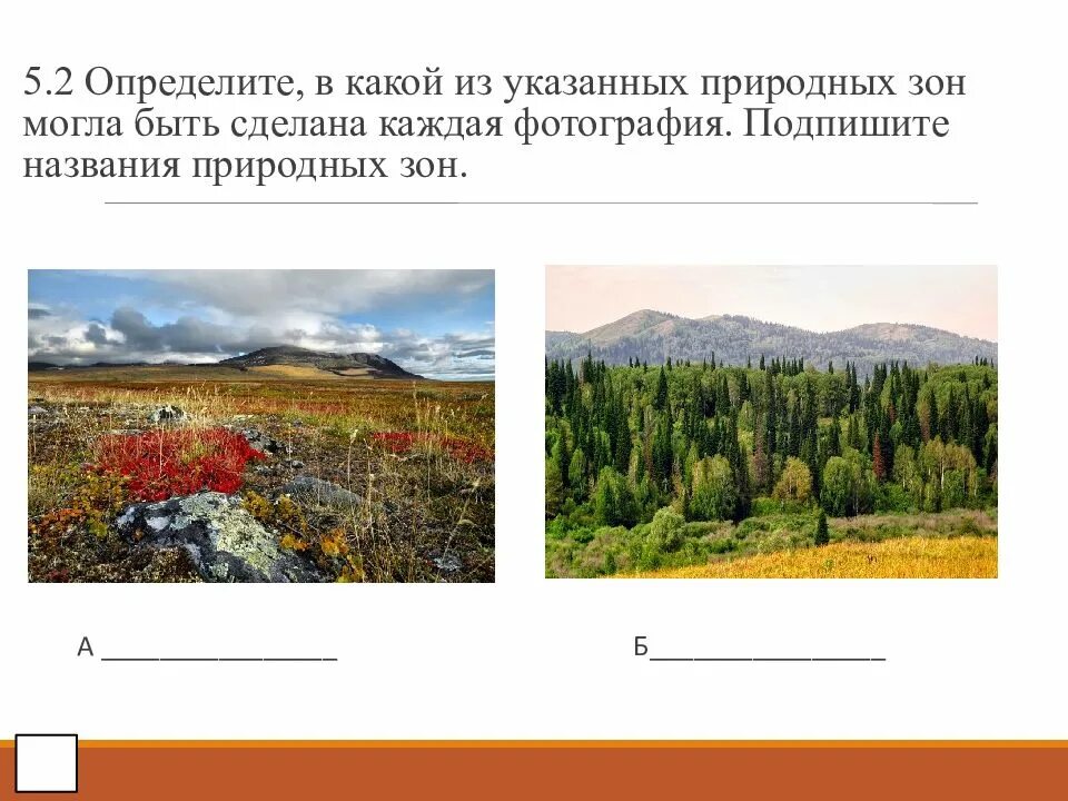 В какой из указанных природных. Определите в какой из указанных природных зон. определите в какой из указанных природных зон могла быть сделана. впр по географии природные зоны. укажите природные.