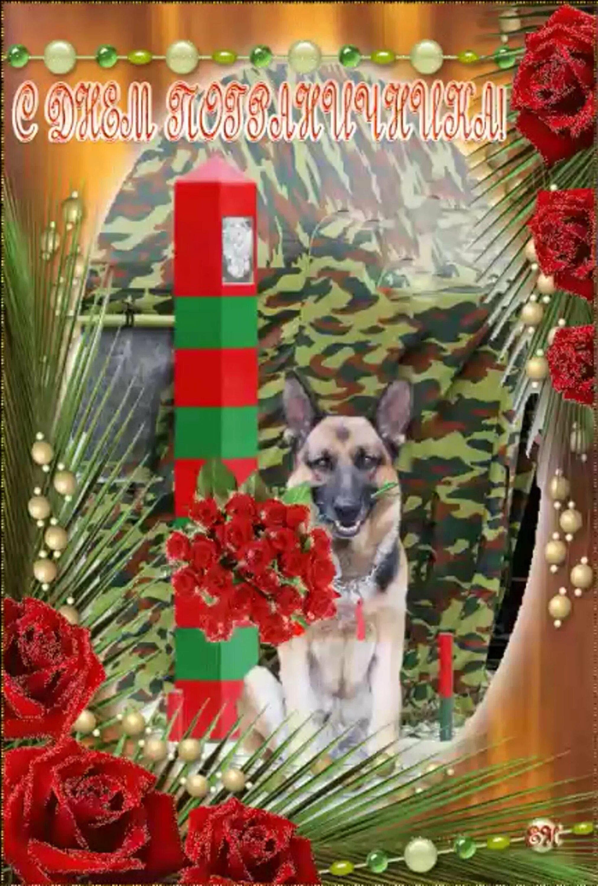 Поздравление пограничнику. Поздравление с рождением пограничника. Поздравление с рождением пограничника. С днем пограничника открытки. Лента пограничника.