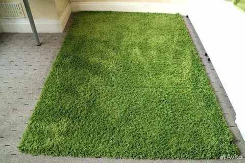 Низкий берег покрыт зеленым ковром