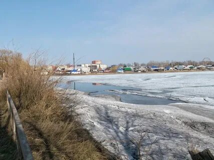 Погода в селе мамонтово алтайского